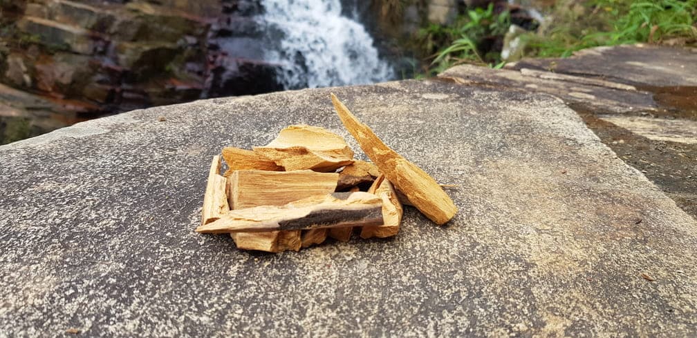 Palo Santo (20g)